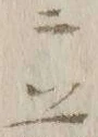 글자 前