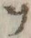 文字 ヲ