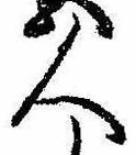 已定位人