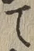 Character て