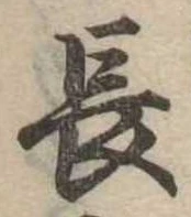 長 위치 확인됨