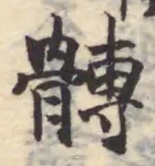 髆の位置