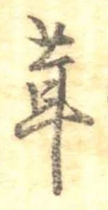 茸 위치 확인됨