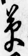 草 위치 확인됨
