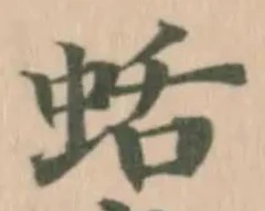 蛞の位置