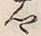 글자 郷