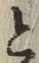 “と”字