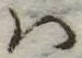 𛂞 위치 확인됨