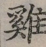 已定位雞