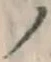 字ノ