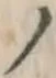 “ノ”字