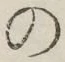 字の
