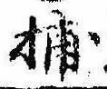 捕 위치 확인됨