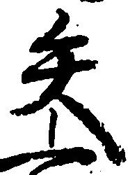 已定位矢