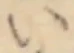 位置 確認된 い