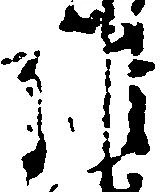 維 위치 확인됨
