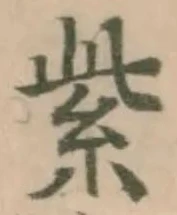 紫 위치 확인됨