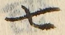 “七”字