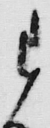 文字主