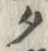 文字タ