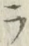 「ラ」字
