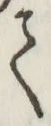 字て