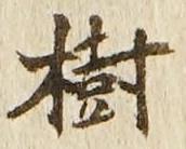 글자 樹