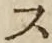 字ス
