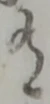 글자 有