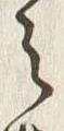文字之