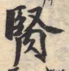 腎 위치 확인됨