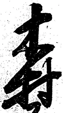 森 위치 확인됨