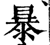 글자 暴