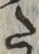 𡨸た