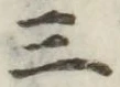 字三