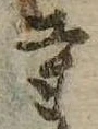 已定位寺