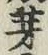 文字芽