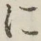 글자 に