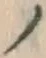 字ノ
