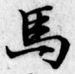 位置定マレル馬