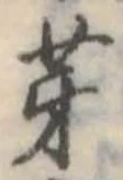 芽 위치 확인됨