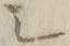 “シ”字