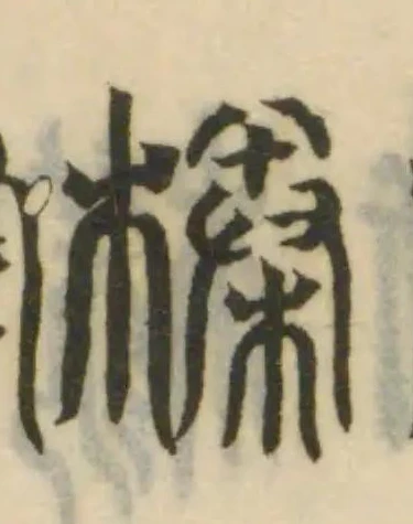 Đã định vị 榛