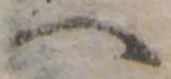 への位置