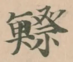 鰶 위치 확인됨