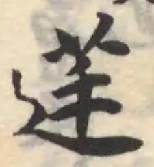 莛の位置