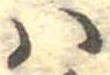 𛂞の位置