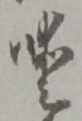 位置 確認된 噯
