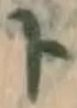 字ト