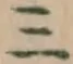 文字三